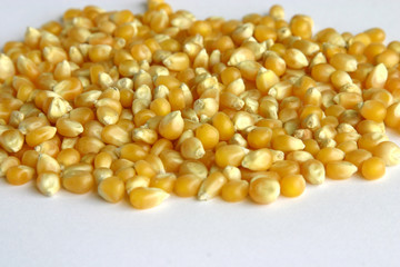 Closeup of popping corn  over white background