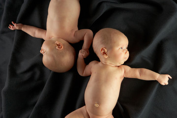 baby twins © amriphoto.com