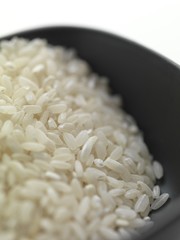 ciotola di riso