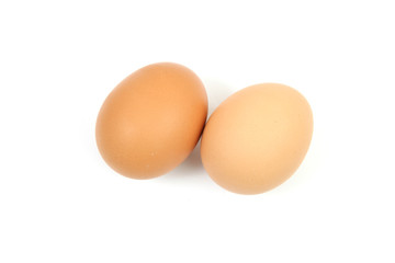 chicken eggs