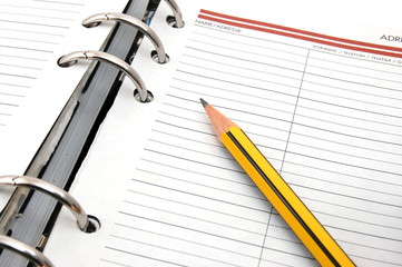 organizer