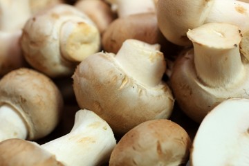 Champignons