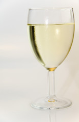 white wine