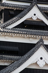 Fototapeta na wymiar Detail of Japanese Castle