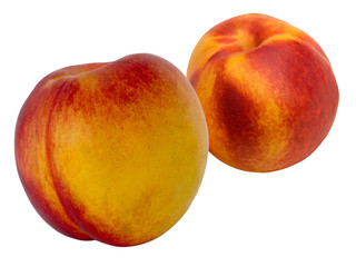 Fototapeta na wymiar Fruit a peach and apricot hybrid