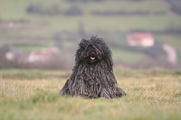 la pose detente pour le puli dans un champ
