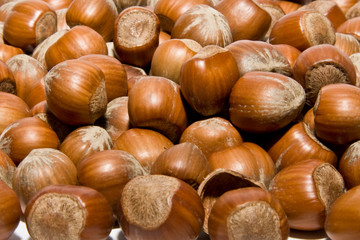 Acorns field