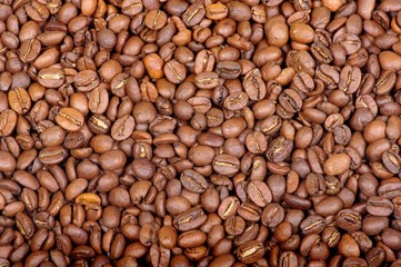 graines de café