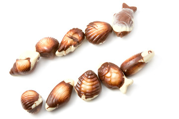 Chocolate pralines against white
