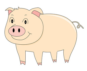 pink piggy illustration on a white background