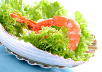 frische garnelen auf salatbett garniert