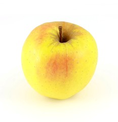 Apple, isolated against a white background