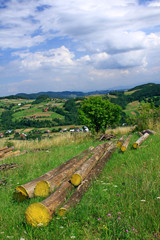 Fototapety na wymiar - Fototapeta24.pl