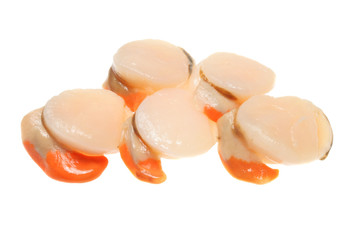 Scallops