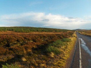 Route unique dans la plaine