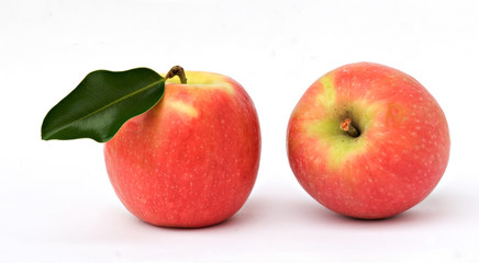 Two red apples isolated on white background