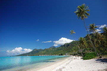 Temae Beach, Moorea Tahiti, French Polynesia - obrazy, fototapety, plakaty