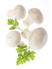 Champignon mushrooms
