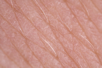 super macro of skin texture
