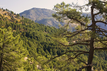 Sierra de Gredos