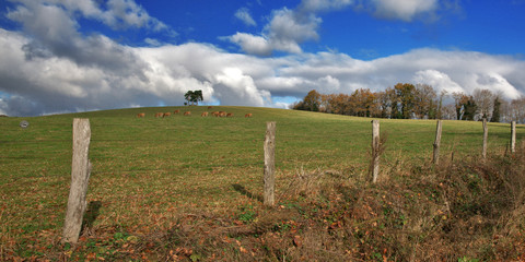 campagne