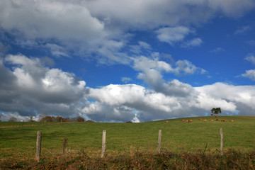 Fototapeta premium ciel