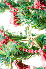 Isolated Christmas tree