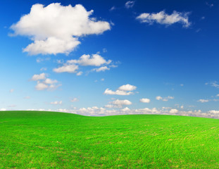 Fototapeta na wymiar green field and blue sky whit white clouds