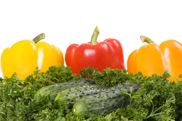 paprika and cucumber in parsley