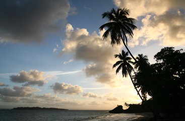 Caribbean Sunset