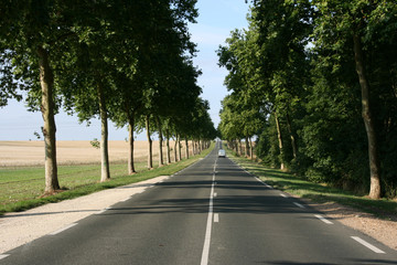 Straight road in France