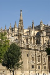 Fototapeta na wymiar cathédrale de Séville
