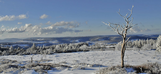 Schwarzwald