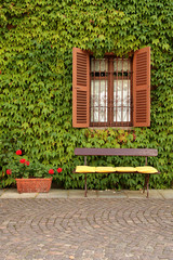 Empty bench against wall of ivy and open shutters