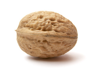walnut 1