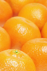 Oranges or clementines close up