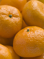 Satsumas