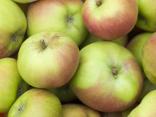 Apples, Cox