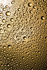 golden drops