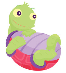 turtle
