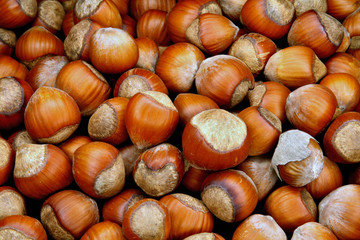 Nuts a filbert