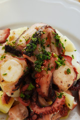 Polipo alla marinara - Secondi di pesce della cucina istriana