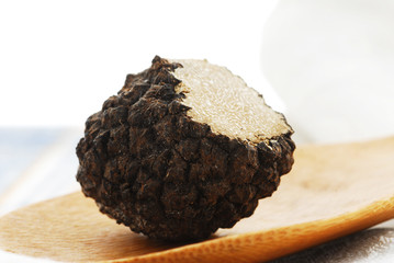 Tartufo scorzone - Tuber aestivum