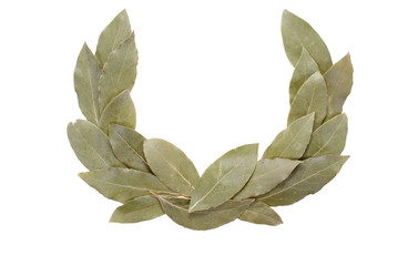 laurel wreath