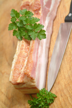fetter Speck
