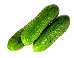 Cucumber
