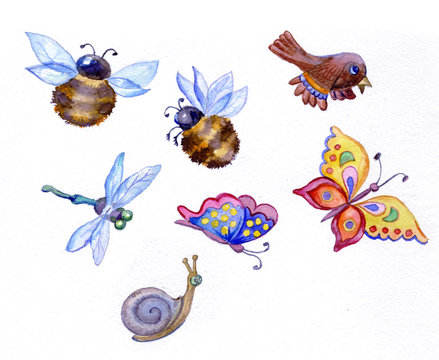 Birds, Butterflies, Bees And Dragonflies