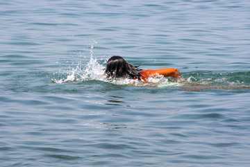 Obraz premium Schwimmen