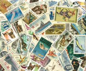 Fototapeta na wymiar Kolekcja starych znaczków
