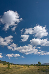 Obraz na płótnie Canvas Cielo azul sobre una pradera